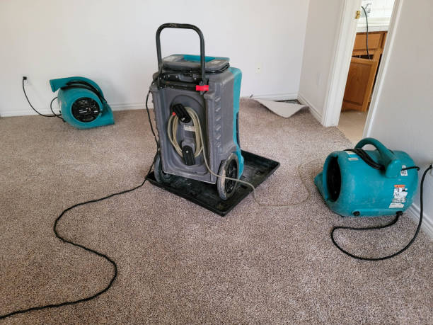 Best Water damage cleanup near me  in Arcola, VA