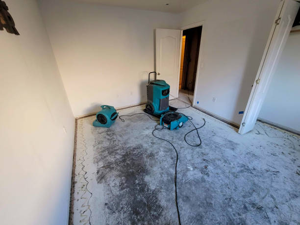 Best Water damage contractors near me  in Arcola, VA
