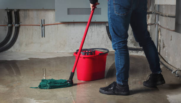 Best Flood damage cleanup  in Arcola, VA