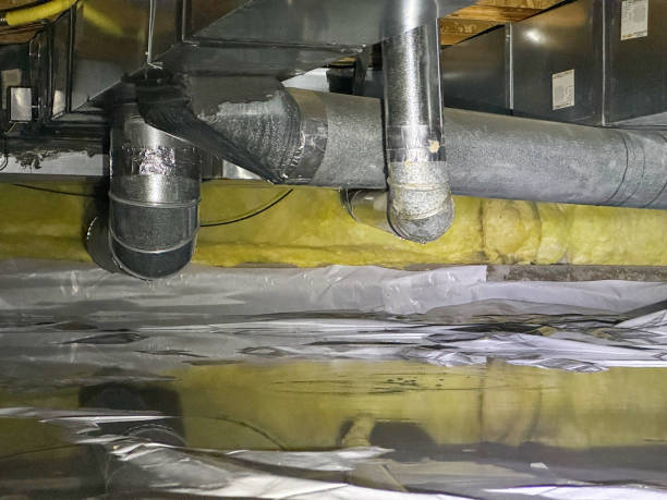 Best Mold removal after water damage  in Arcola, VA