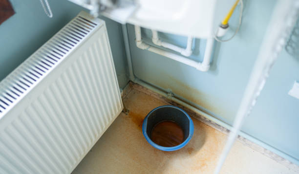Best 24/7 water damage repair  in Arcola, VA