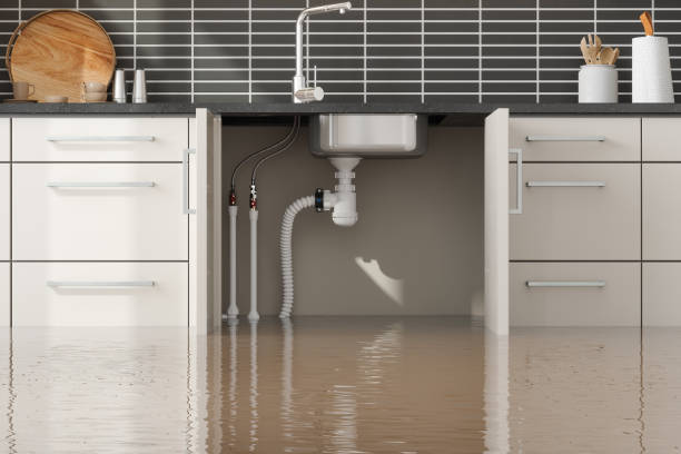 Best Flood restoration services  in Arcola, VA