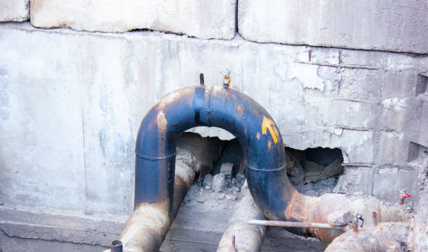 Best Professional water damage repair  in Arcola, VA