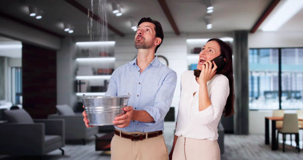 Best Flooded house restoration  in Arcola, VA